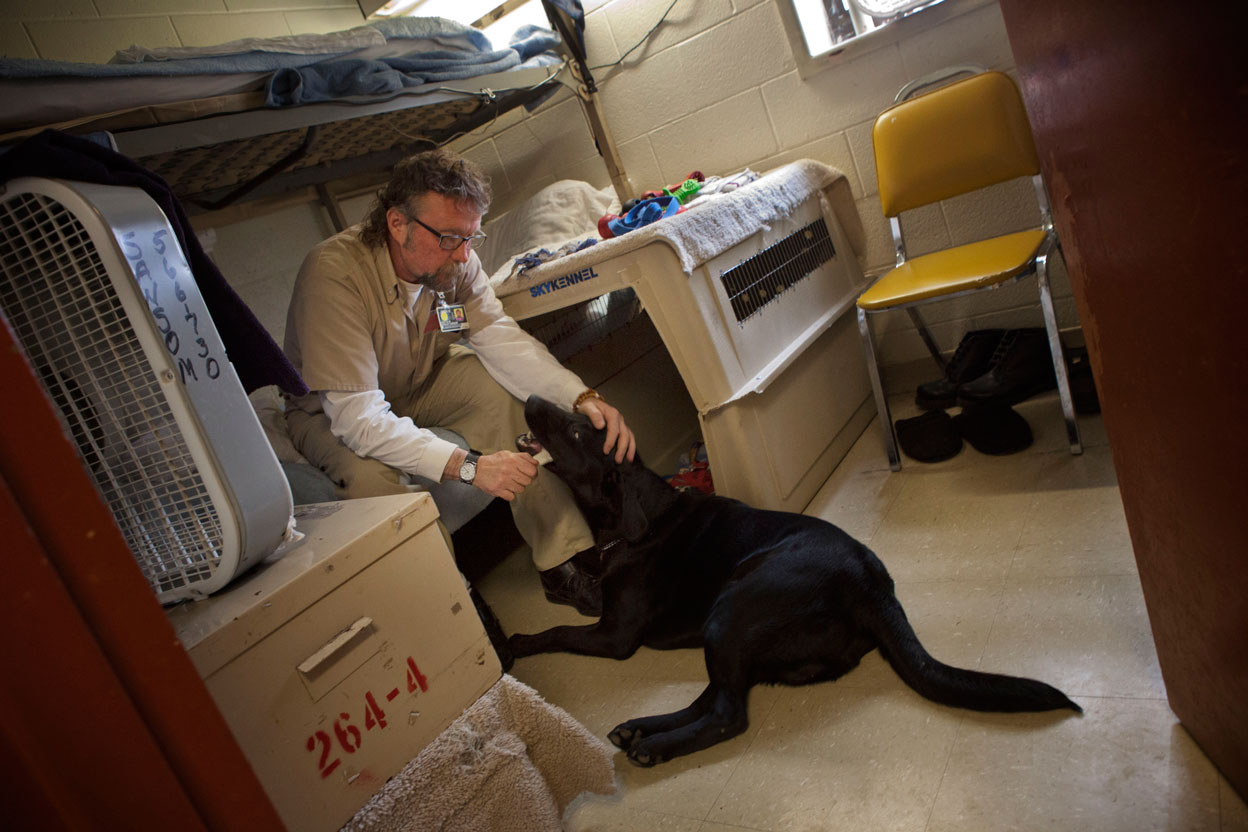 picture of a prison dog